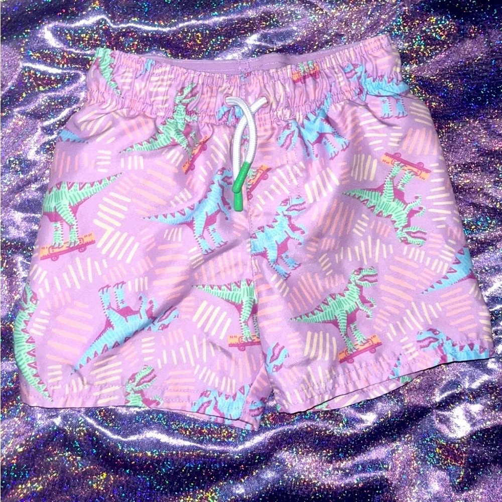 Boys Dinosaur swim trunks